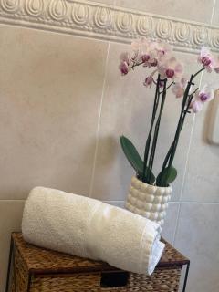 Carducci Center Home - San Benedetto del Tronto - 1