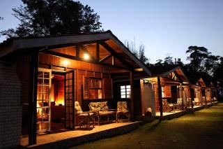 Chalé Hibisco Amarelo - 8