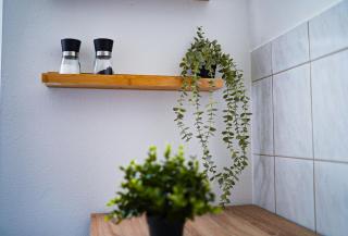 Fewostaeps- charmanter, moderner Juwel - Plauen - 7