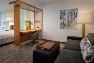 SpringHill Suites Alexandria - 7