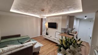 Apartament pod lasem - Pionki - 1