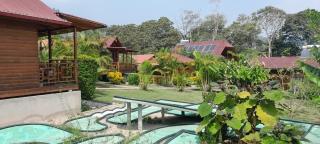 Chontaqui Eco-Lodge - Oxapampa - 8
