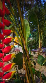 Saak Luúm Ruta Puuc - 7