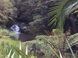 Matakana Waterfall Hideaway - 6