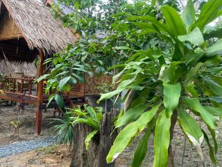 Dahla Lanta Hut - Ko Lanta - 4