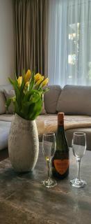 Lara's Home - Braşov - 8