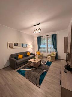 Alberta Apartments - Brasov - 9