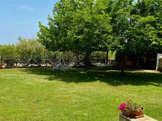 Traditional Stone Villa Rokosini - Vourvourou - 8