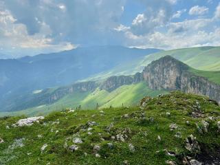 DiliVita Rest House - 4