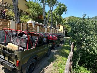 DiliVita Rest House - 5