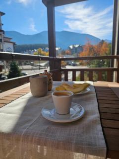 Ski In Out Aparthotel Kosara - 1