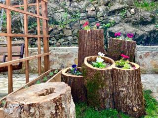 DiliVita Rest House - 8