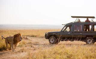 Sentinel Mara Camp - Talek - 1