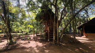 Ali Adi Eco Resort - Sigiriya - 3
