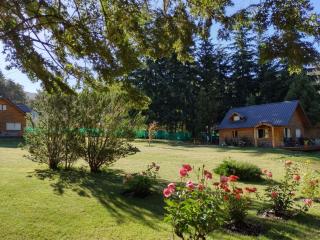 Natur Haus - Villa Traful - 4