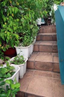 Huong's Homestay - Ho Chi Minh City - 1