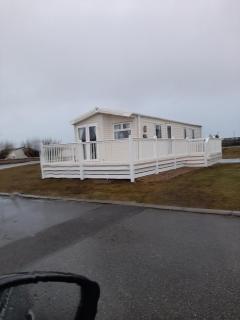 Swallows at Silversands - 0