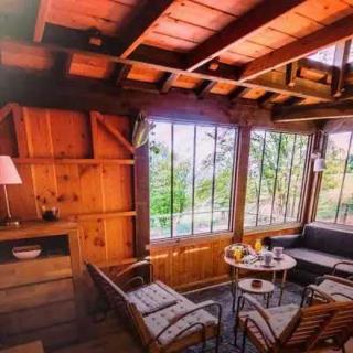 Cabane 4 étoiles - Piscine - eed0ad - Estipouy - 4
