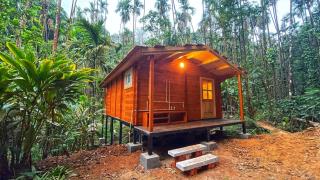 Chalets in Agumbe RainForest - Megarvalli - 3