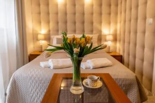 APARTAMENTY VILLA PIGMALION - sauna, jacuzzi, parking, ogród - 6