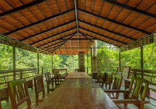 Chalets in Agumbe RainForest - Megarvalli - 4