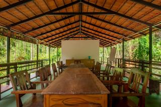 Chalets in Agumbe RainForest - Megarvalli - 5