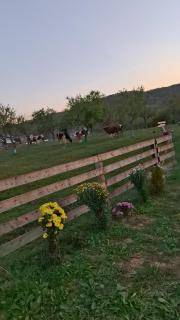 Casuta de la ferma - 1