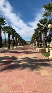 La Rosa - Mazarrón - 8