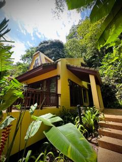 Patong Beach森林屋111 - Patong - 0