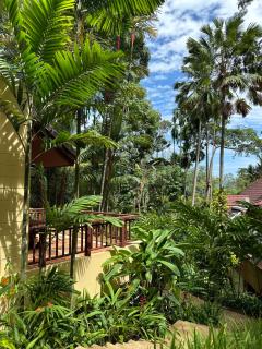 Patong Beach森林屋111 - Patong - 4