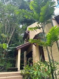 Patong Beach森林屋111 - Patong - 2