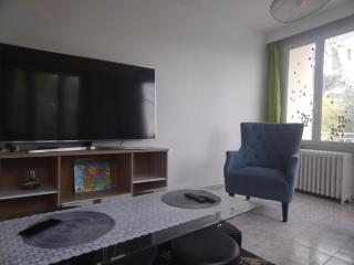 Appartement familial face à un square arboré - Enghien-les-Bains - 9