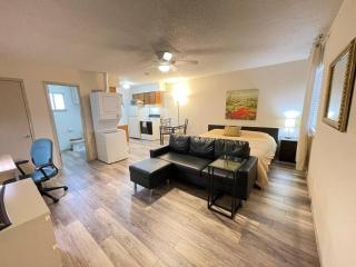 Comfy Studio in South Downtown - San Antonio - 0