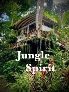Jungle Spirit Treehouse - Cahuita - 0
