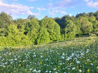 DiliVita Rest House - 2