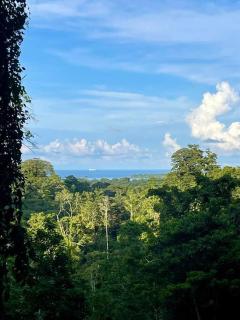 Jungle Spirit Treehouse - Cahuita - 3