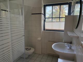 Ferienwohnung Seeigel - Prerow - 4