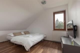 LOGAR Apartments - Preddvor - 3