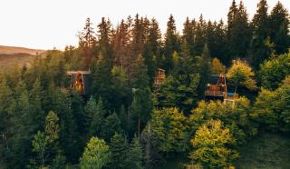 Cottage Galileo in Abastumani - 8