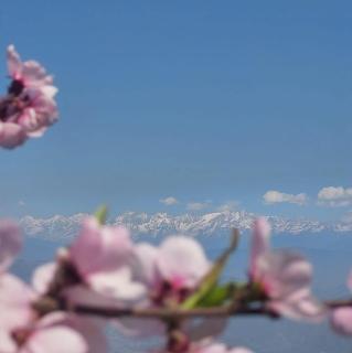 sanjivani buti organic krisi farm & resort - Nagarkot - 6
