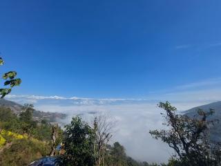 sanjivani buti organic krisi farm & resort - Nagarkot - 3