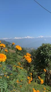 sanjivani buti organic krisi farm & resort - Nagarkot - 2