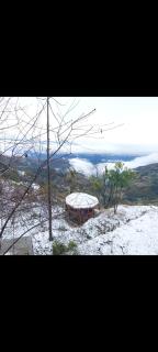 sanjivani buti organic krisi farm & resort - Nagarkot - 1