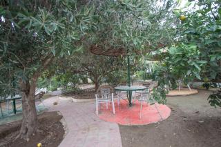 Résidence Nardina Golden - Tétouan - 1