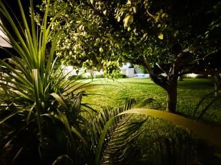 Archangelos Garden House - 2