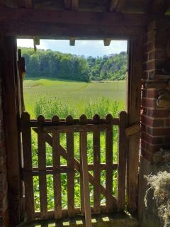 Up at the Barn - Petworth - 8