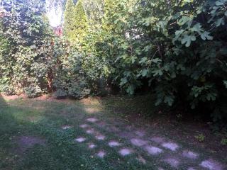 Kisfüge Apartman - Basement - Pécs - 3