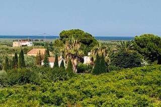 Duplex Torre la Sal Magic World La Tormesilla - 9