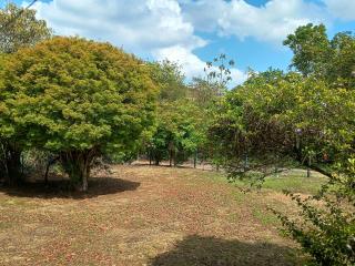 RANCHO PÉ DA SERRA - Capitólio - 4