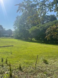 Pension Gut Runge - Kiebitz - 8